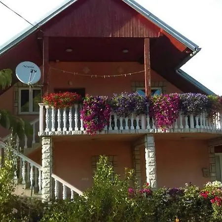 Apartment Drlja